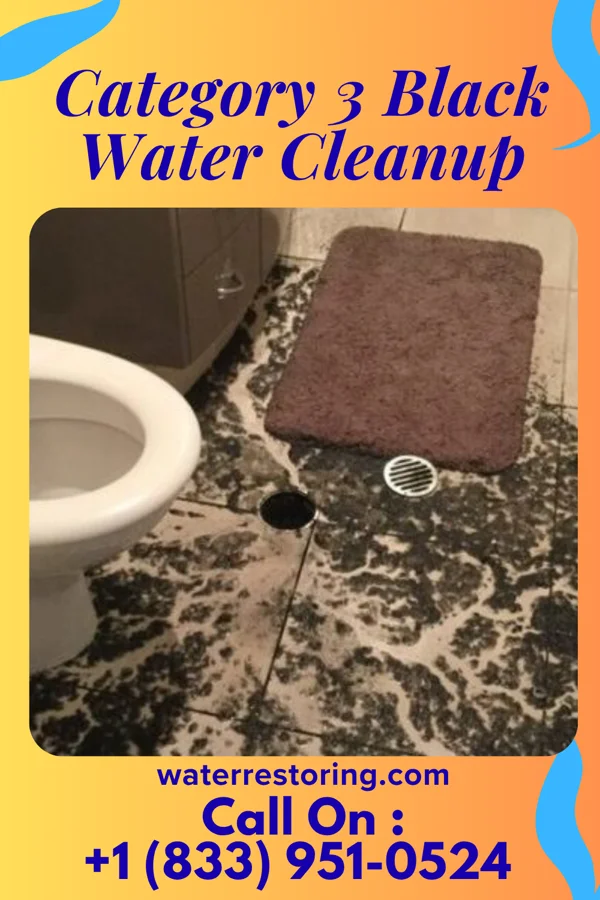 Category 3 Black Water Cleanup in Beverly Hills, CA
